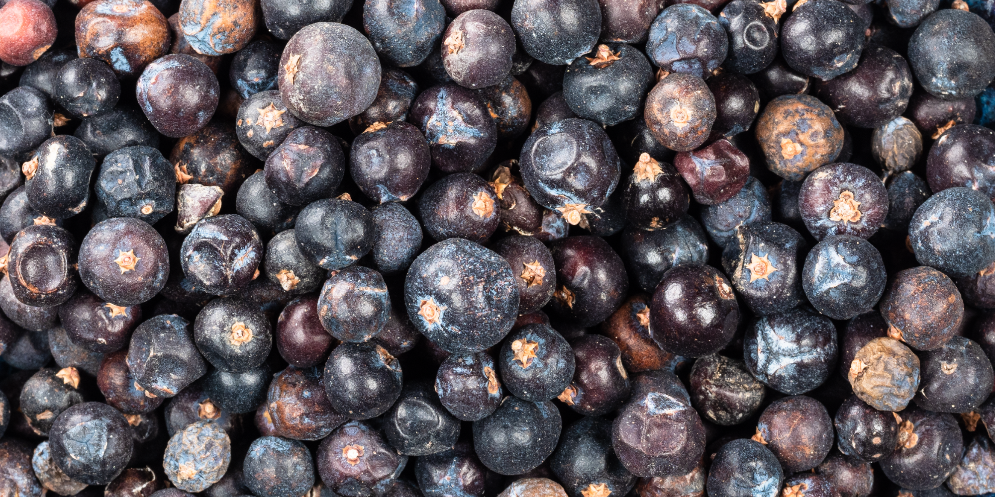 Nim’s Premium Dried Whole Juniper Berries (25g)
