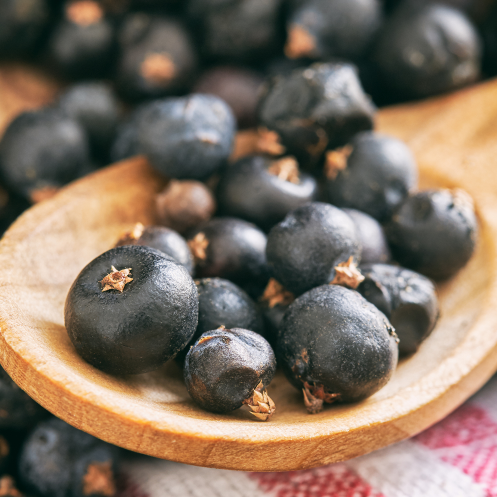 Juniper Berries