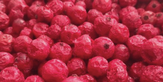 Buy Red Currants