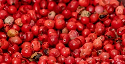 Red Peppercorns